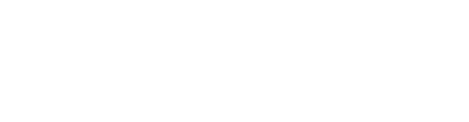 Registra seu primeiro ano com grande público 