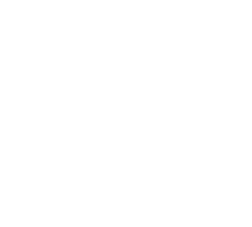 Relembre o discurso de encerramento do presidente, Dr  Alair Sarmet Santos, ao final do CBR20