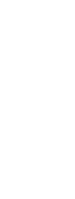 Com muita emoção, o público pôde conhecer, na noite do dia 16 de abril, na chamada  Sexta Ao Vivo , as sociedades est   