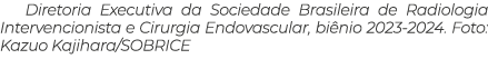 Diretoria Executiva da Sociedade Brasileira de Radiologia Intervencionista e Cirurgia Endovascular, biênio 2023-2024    
