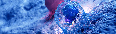 3d rendered illustration of the anatomy of a cancer cell