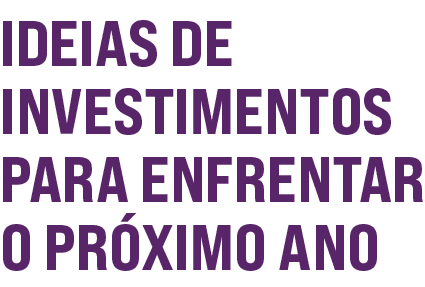Ideias de investimentos para enfrentar o próximo ano 