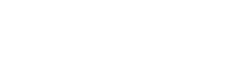 Parceria do CBR com entidades internacionais promove melhor forma o para seus associados Curso CBR ESOR “Visiting Pr...