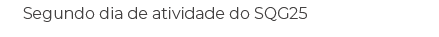 Segundo dia de atividade do SQG25