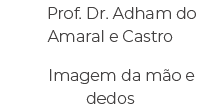 Prof. Dr. Adham do Amaral e Castro Imagem da m o e dedos 
